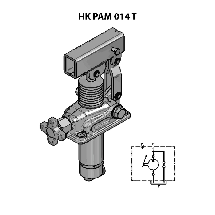 HK PAM 014 T
